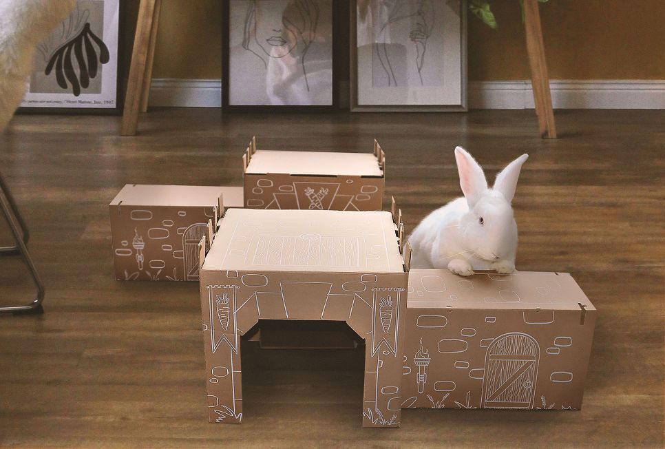Bunny Maze - The enrichment toy your rabbit needs