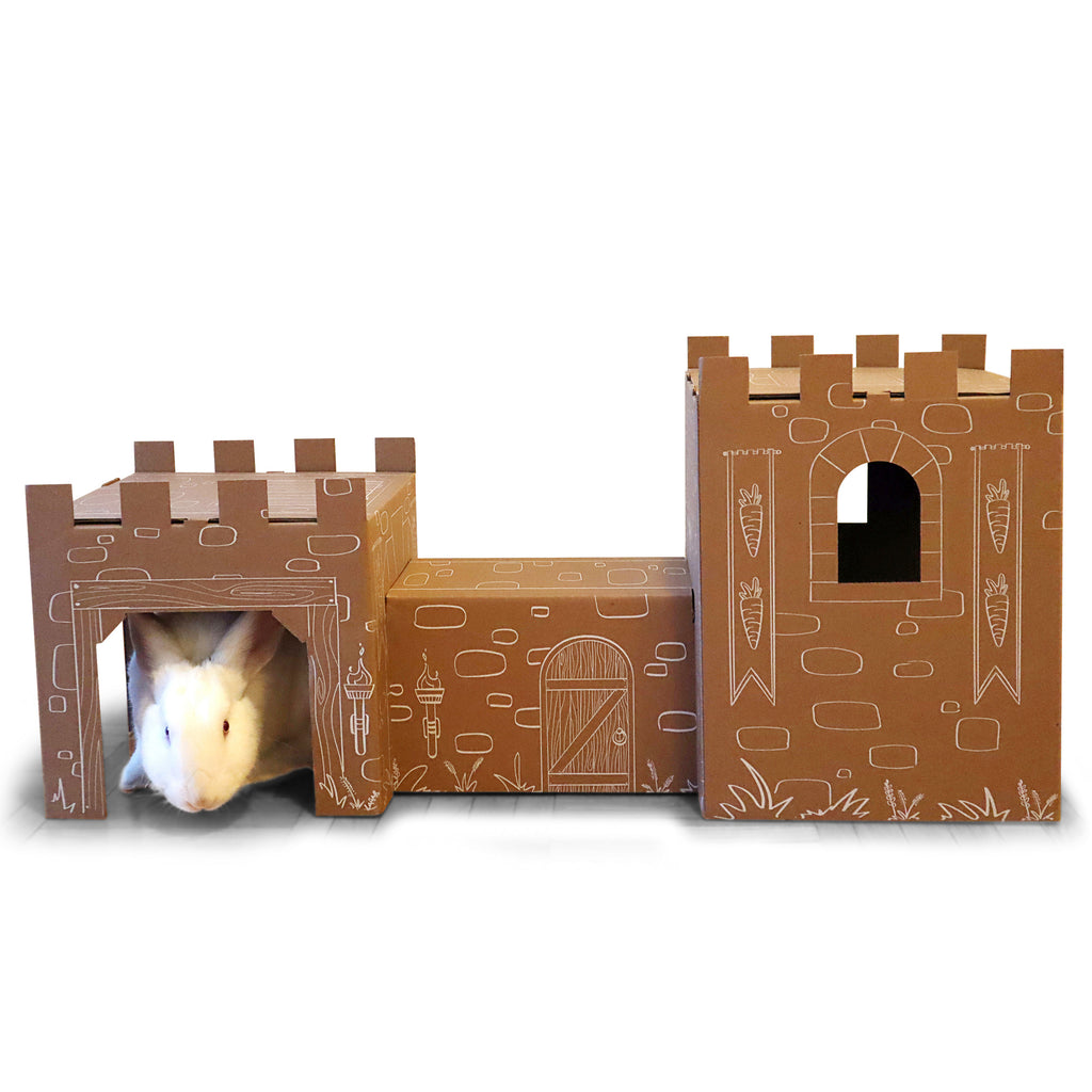 Cardboard castle for cheap rabbits