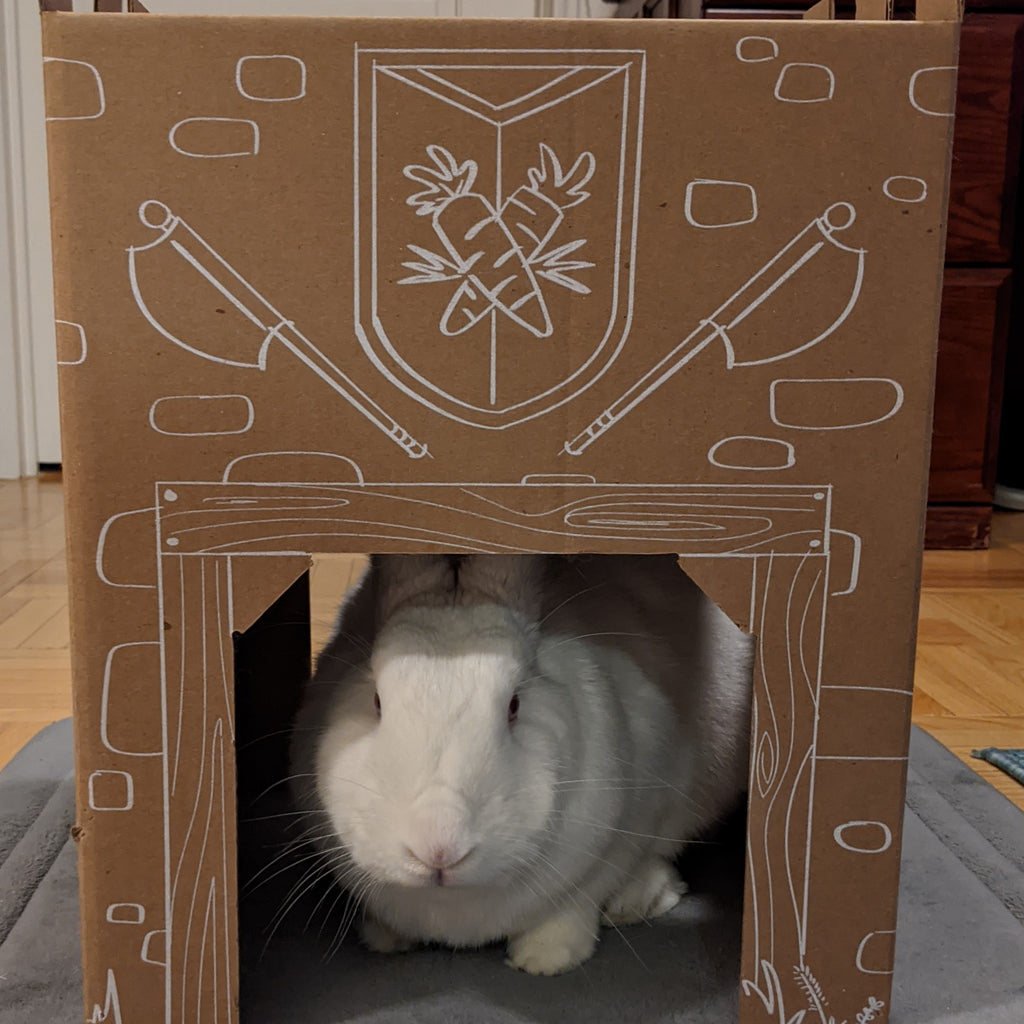 Cardboard Bunny Tower and Playhouse by Bunny Bliss BunnyBliss